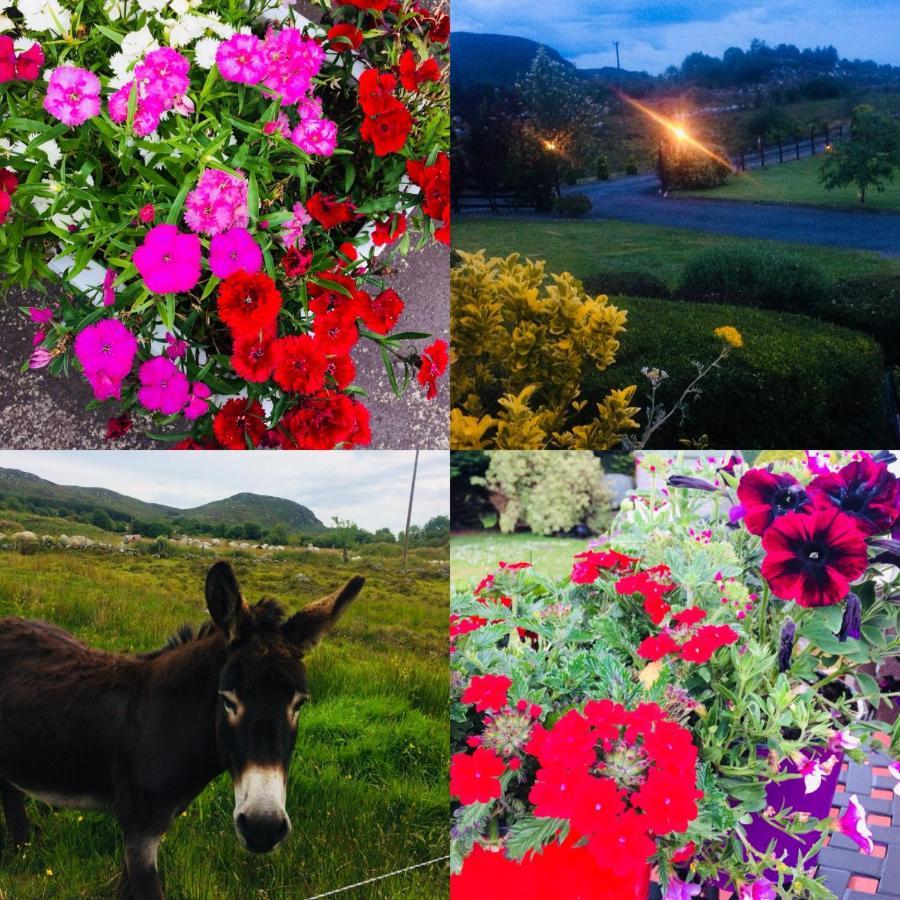 Boyhollagh Hillcrest Farmhouse Bed & Breakfast المظهر الخارجي الصورة