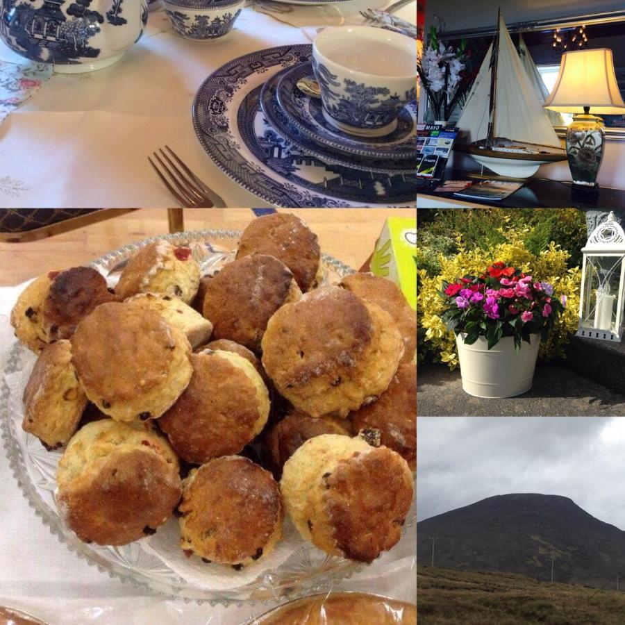 Boyhollagh Hillcrest Farmhouse Bed & Breakfast المظهر الخارجي الصورة