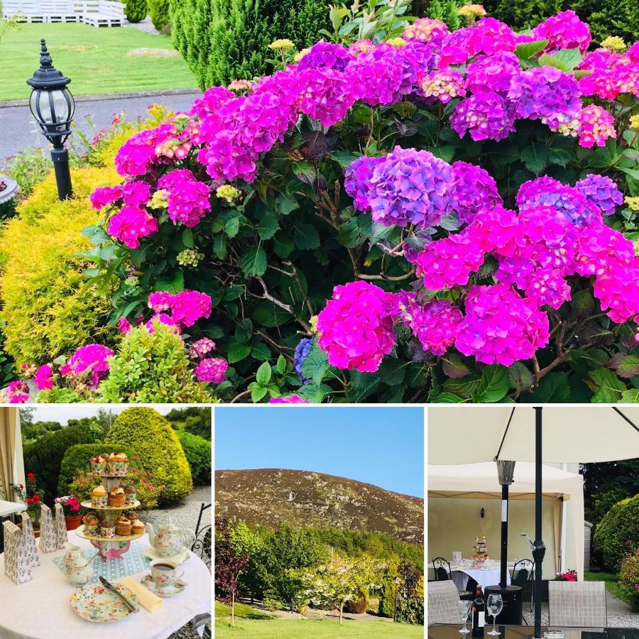 Boyhollagh Hillcrest Farmhouse Bed & Breakfast المظهر الخارجي الصورة