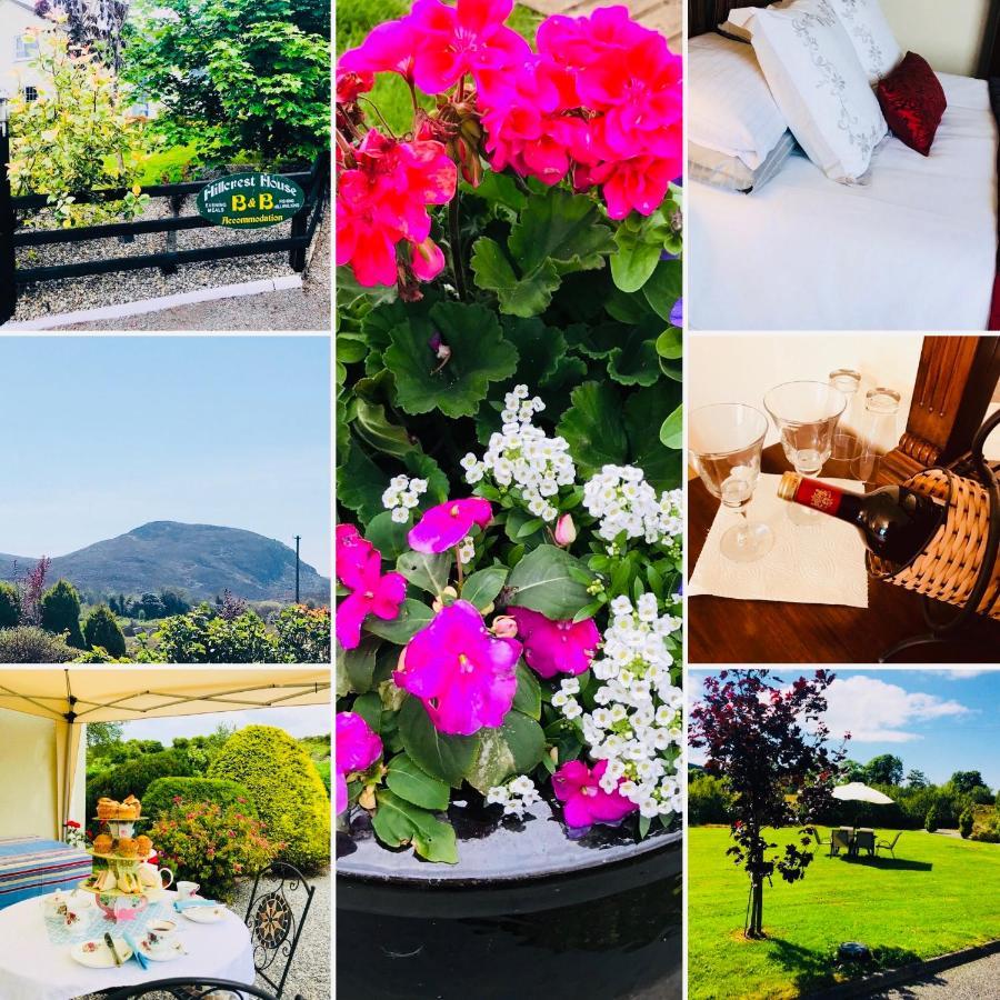 Boyhollagh Hillcrest Farmhouse Bed & Breakfast المظهر الخارجي الصورة